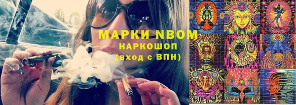 ПСИЛОЦИБИНОВЫЕ ГРИБЫ Абаза