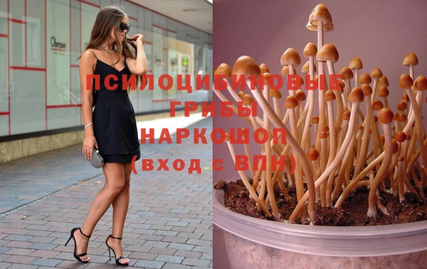 трава Семилуки