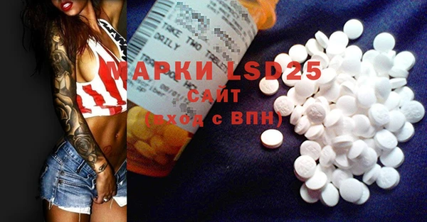 ПСИЛОЦИБИНОВЫЕ ГРИБЫ Абаза