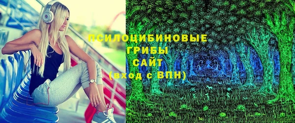 мдпв Абинск