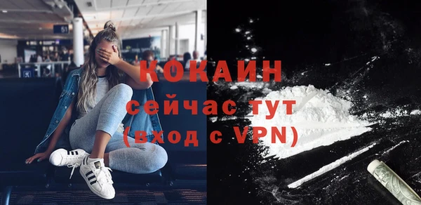 твердый Алексин