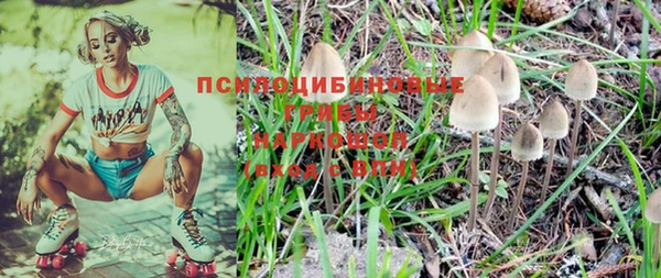 твердый Гусиноозёрск